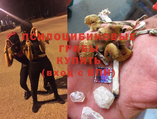 spice Михайловск