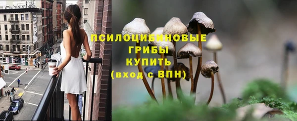 a pvp Михайлов