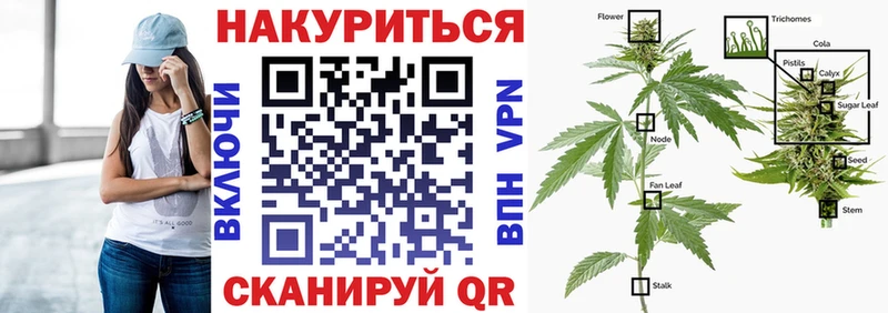 Купить закладки  Ефремов  Конопля Amnesia 